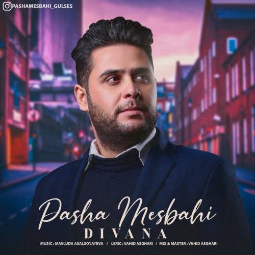 پاشا مصباحی دیوانه